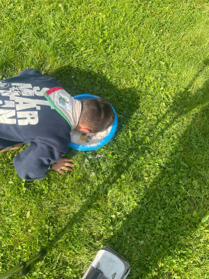 Sint-Martinus den XIIde - Opening 2024